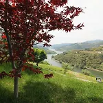 度假居 Douro Mesio 雷森迪