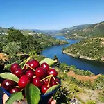 Douro Mesio 度假居