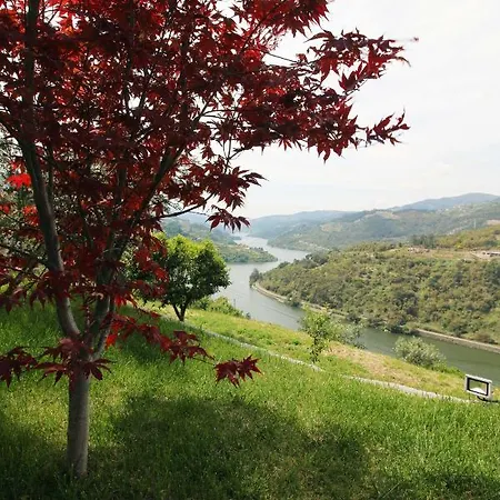 度假居 Douro Mesio 雷森迪