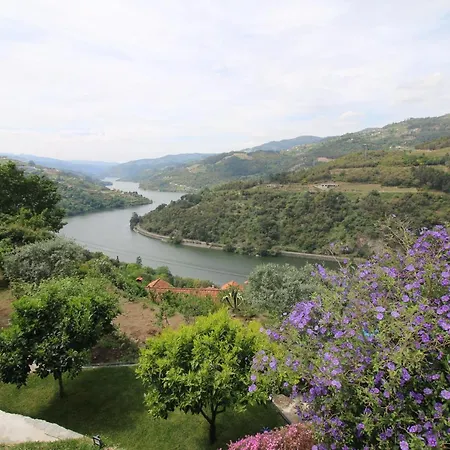 Douro Mesio *