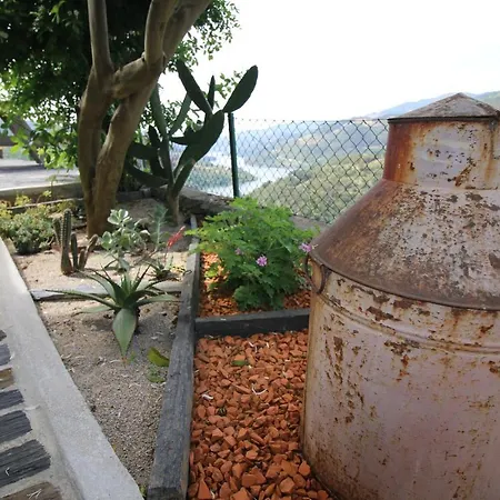 Douro Mesio