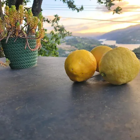 度假居 Douro Mesio