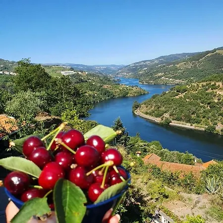 Douro Mesio 度假居