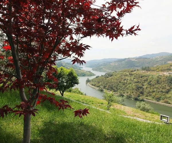 Feriehus Douro Mesio Resende