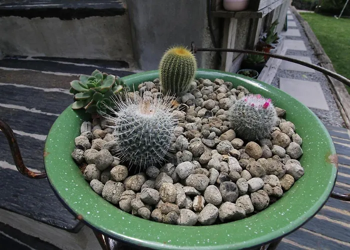 Σπίτι διακοπών Douro Mesio