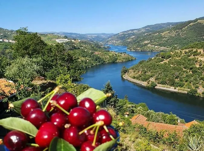 Douro Mesio Feriehus